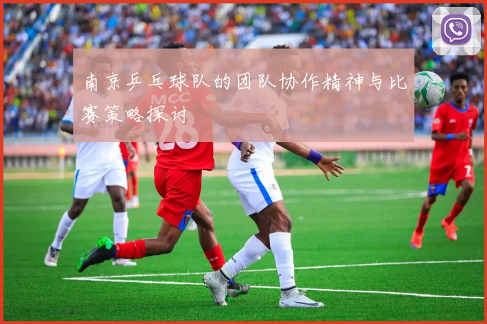 南京乒乓球队的团队协作精神与比赛策略探讨
