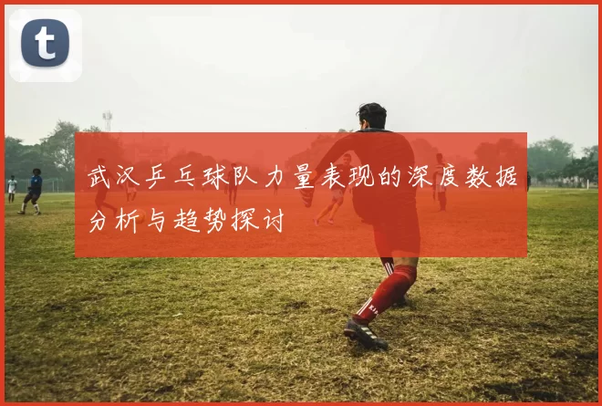 武汉乒乓球队力量表现的深度数据分析与趋势探讨