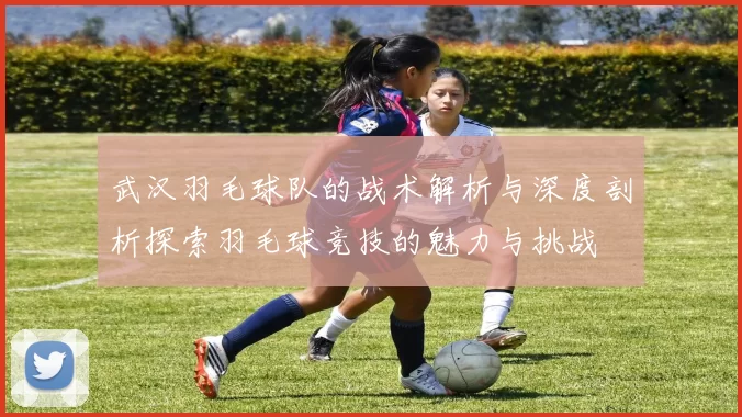 武汉羽毛球队的战术解析与深度剖析探索羽毛球竞技的魅力与挑战