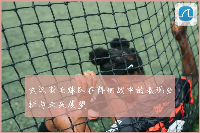 武汉羽毛球队在阵地战中的表现分析与未来展望