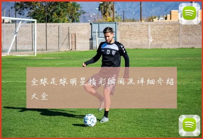 全球足球明星精彩瞬间及详细介绍大全