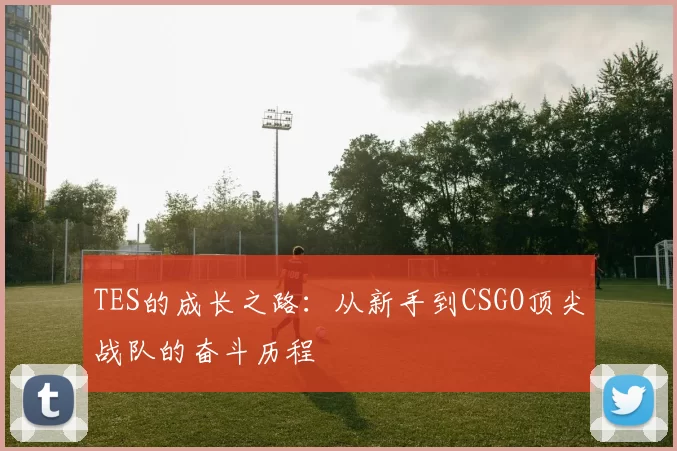 TES的成长之路：从新手到CSGO顶尖战队的奋斗历程