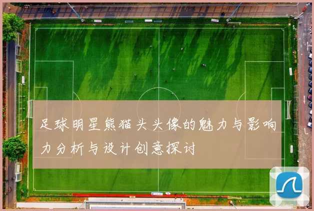 足球明星熊猫头头像的魅力与影响力分析与设计创意探讨