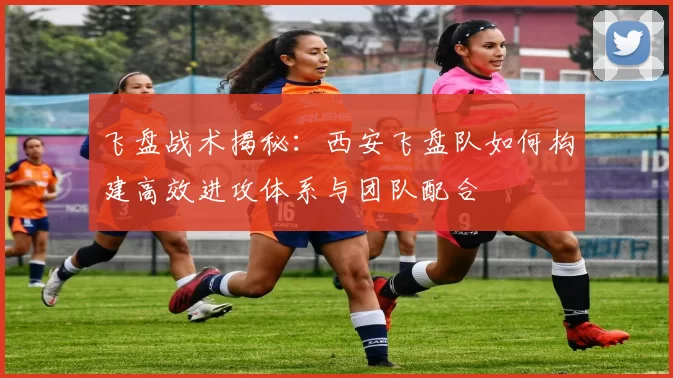 飞盘战术揭秘：西安飞盘队如何构建高效进攻体系与团队配合