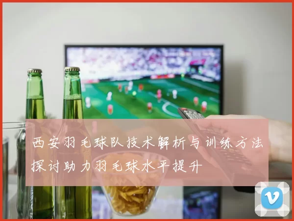西安羽毛球队技术解析与训练方法探讨助力羽毛球水平提升