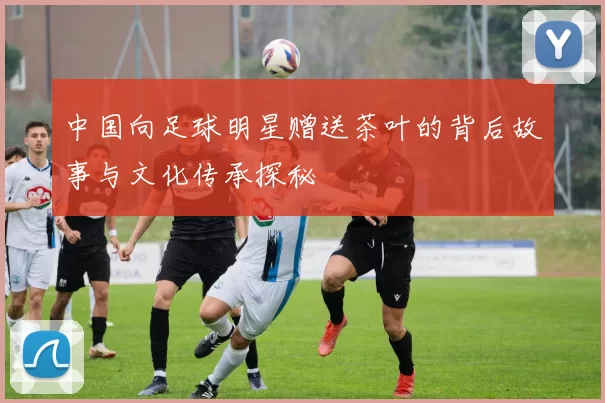 中国向足球明星赠送茶叶的背后故事与文化传承探秘