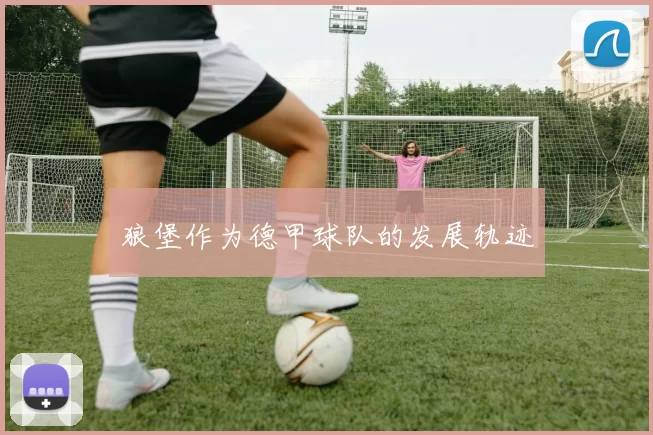 狼堡作为德甲球队的发展轨迹