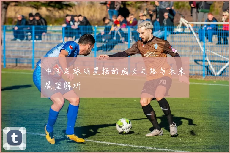 中国足球明星杨的成长之路与未来展望解析