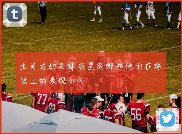 生肖龙的足球明星有哪些他们在球场上的表现如何