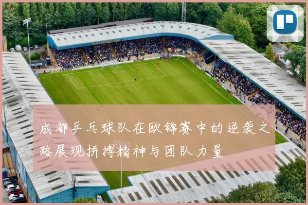 成都乒乓球队在欧锦赛中的逆袭之路展现拼搏精神与团队力量