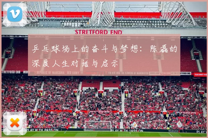 乒乓球场上的奋斗与梦想：陈磊的深度人生对话与启示