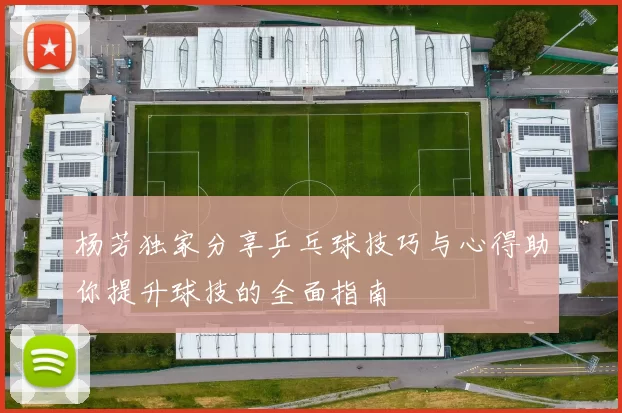 杨芳独家分享乒乓球技巧与心得助你提升球技的全面指南