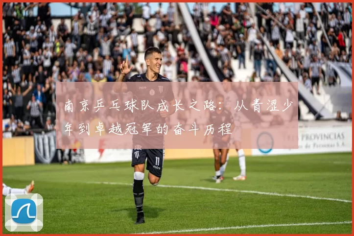 南京乒乓球队成长之路：从青涩少年到卓越冠军的奋斗历程