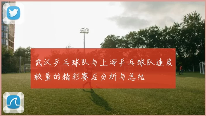 武汉乒乓球队与上海乒乓球队速度较量的精彩赛后分析与总结