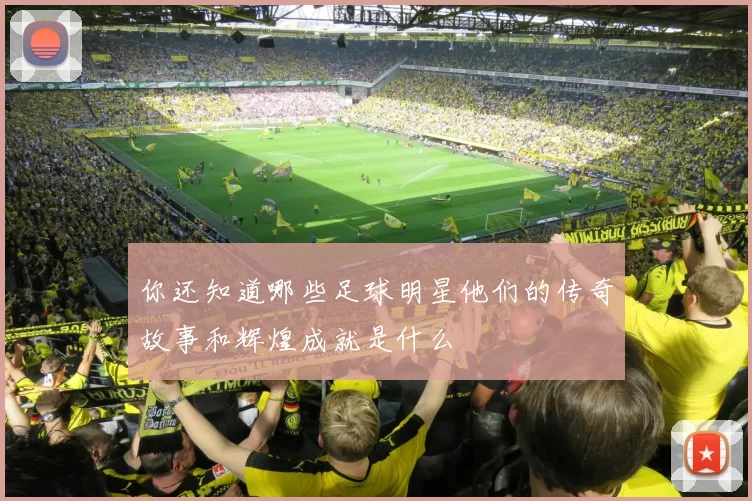 你还知道哪些足球明星他们的传奇故事和辉煌成就是什么