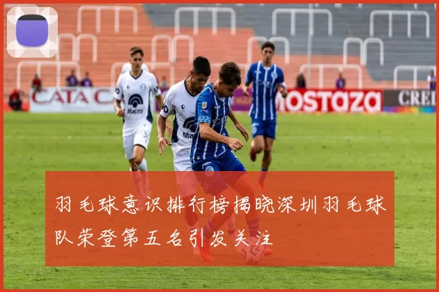 羽毛球意识排行榜揭晓深圳羽毛球队荣登第五名引发关注