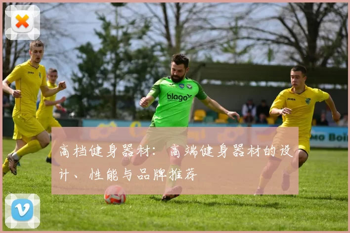 高档健身器材：高端健身器材的设计、性能与品牌推荐