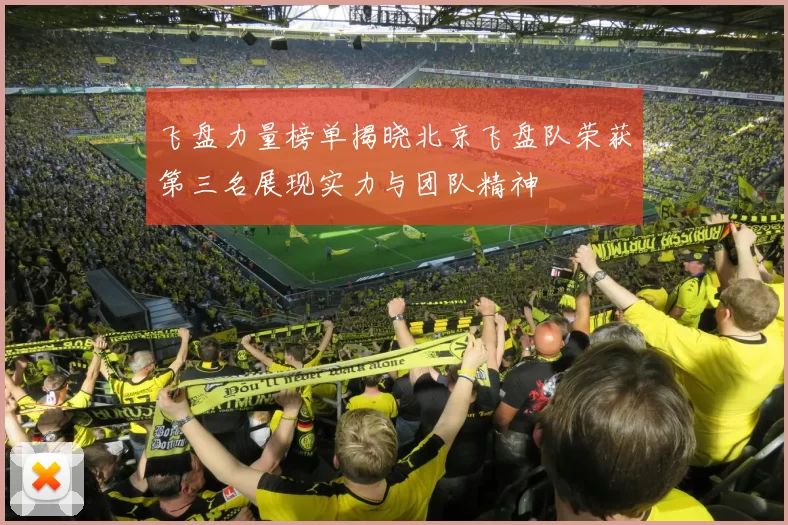 飞盘力量榜单揭晓北京飞盘队荣获第三名展现实力与团队精神