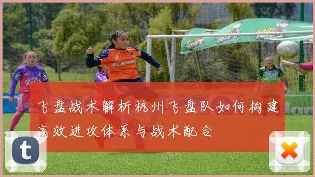 飞盘战术解析杭州飞盘队如何构建高效进攻体系与战术配合