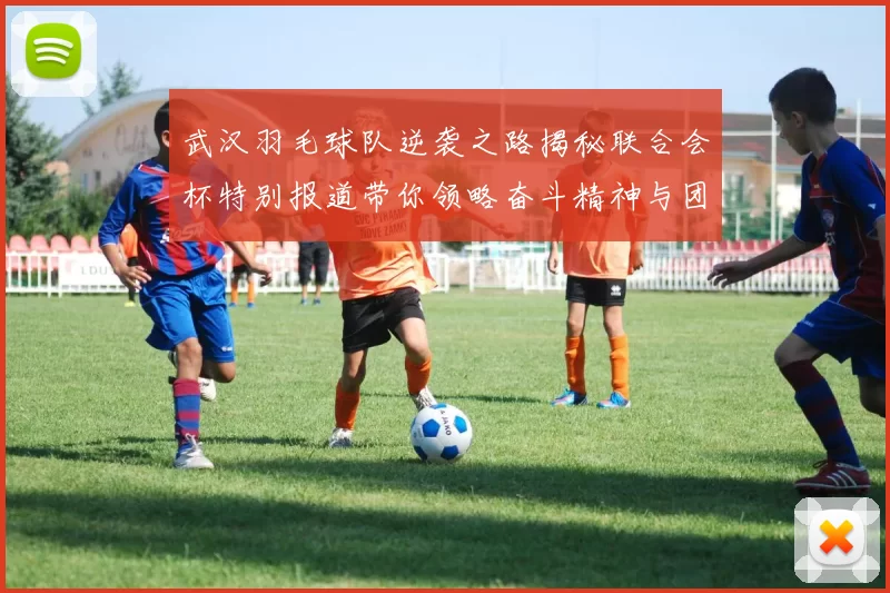 武汉羽毛球队逆袭之路揭秘联合会杯特别报道带你领略奋斗精神与团队力量