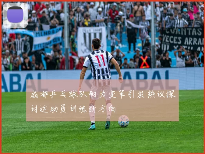 成都乒乓球队耐力变革引发热议探讨运动员训练新方向
