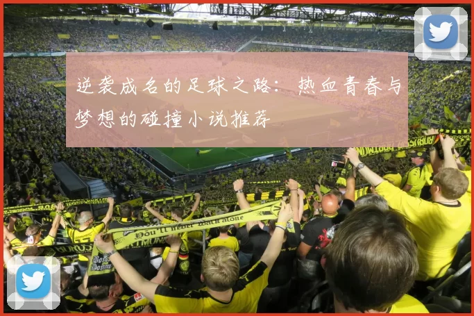 逆袭成名的足球之路：热血青春与梦想的碰撞小说推荐
