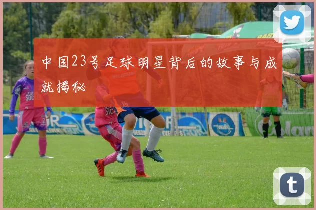 中国23号足球明星背后的故事与成就揭秘