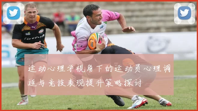运动心理学视角下的运动员心理调适与竞技表现提升策略探讨